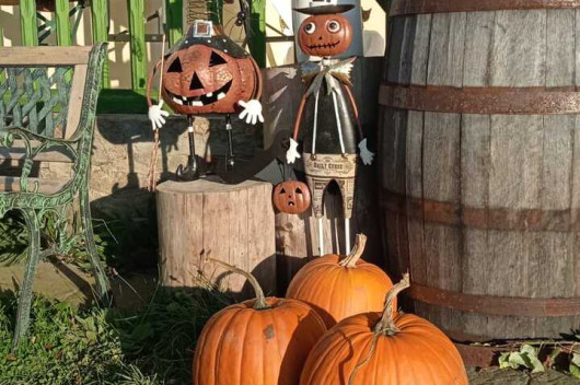 Školní výlet dětí 2. a 3. třídy