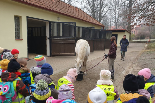 Svatomartinská procházka