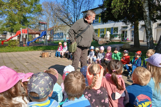 Výcvik dravců a sov